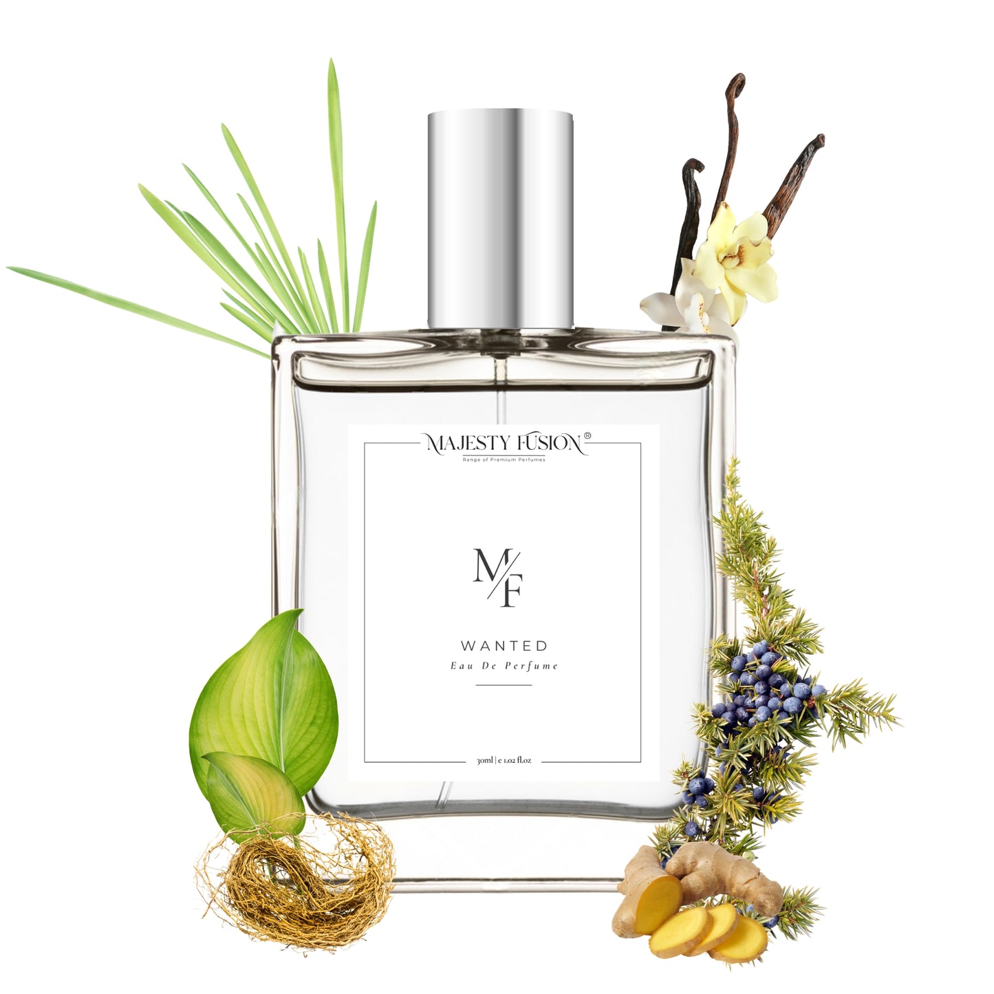 Seb@astian special Most wanted perfume